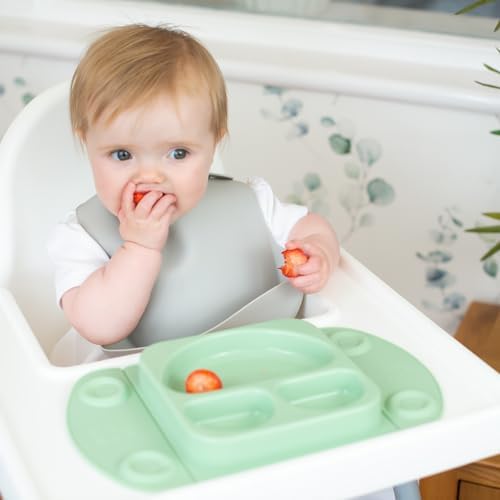 EasyMat Mini Portable Silicone Baby Suction Plate by EasyTots | Lid and Carry Case Included | Travel Friendly | Perfect Placemat for High Chair Feeding & Baby Led Weaning (Sage) - Image 3