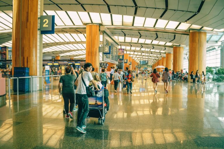 Credit Card Points 101: Turning Everyday Spending into Free Trips