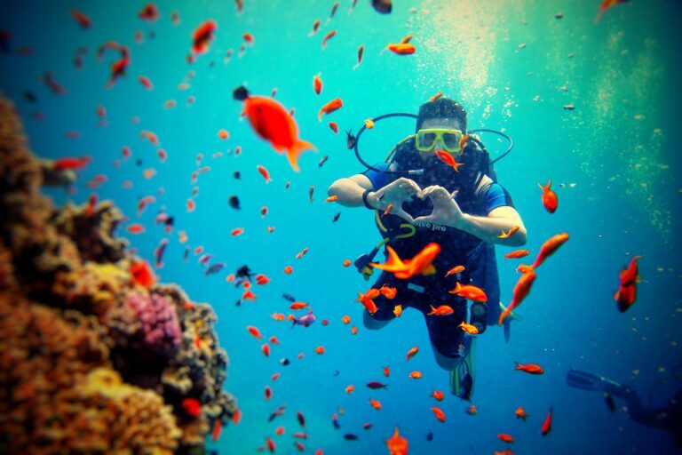 Scuba Diving for Beginners: Best Reefs to Explore