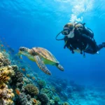 9 Best Scuba Diving Holidays Worth Planning